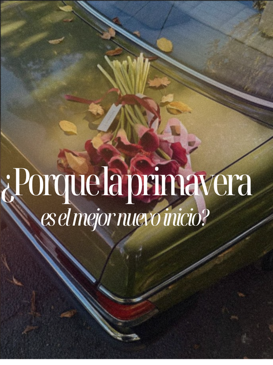 Primavera; Un nuevo inicio para todos.